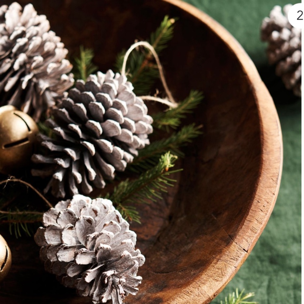 Anthropologie Rustic Pinecone ornaments set of 12‎